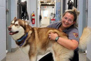 - Carroll News | Carroll Publications | Carroll County, MD Animal Control Officer Soper Animal Adventures 2024