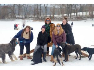 - Carroll News | Carroll Publications | Carroll County, MD
