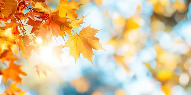 cm-oct-nov - Carroll News | Carroll Publications | Carroll County, MD