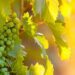 currents-aug-sept19 - Carroll News | Carroll Publications | Carroll County, MD