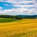 carroll-county-md-farm-image - Carroll News | Carroll Publications | Carroll County, MD