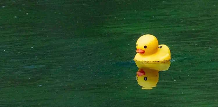 Rubber Duck Derby 2025