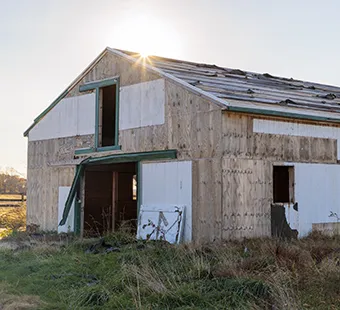 Shamrock Farms