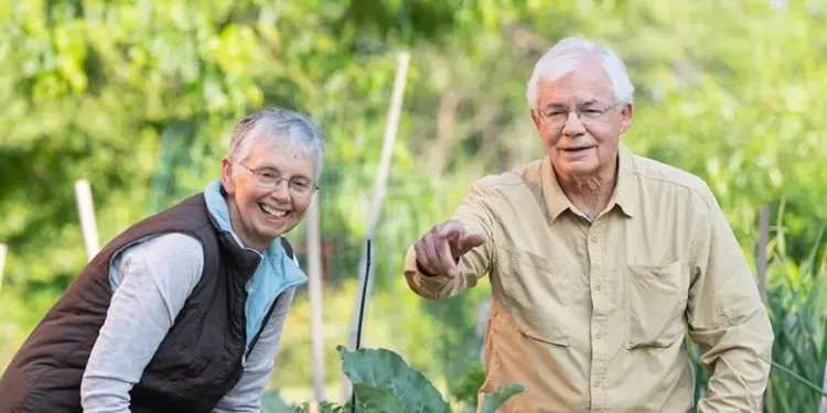 Two smiling seniors gardening together in a lush outdoor yard.
