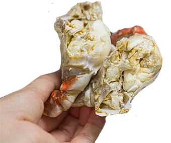 Close-up of a hand separating two pieces of crab meat, showing white and orange flesh.