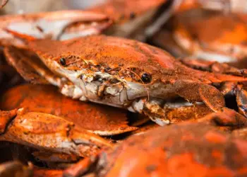 Pile of bright orange cooked crabs with visible claws and legs, piled together.