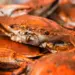 Pile of bright orange cooked crabs with visible claws and legs, piled together.