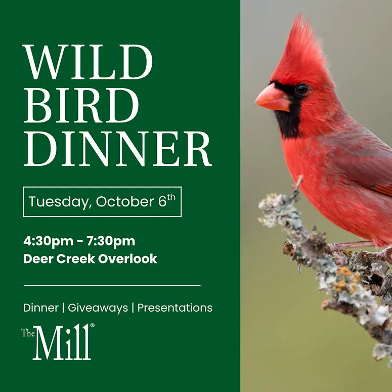 Poster for a 'Wild Bird Dinner' event with a green left panel, red cardinal on the right, and details (date, time, venue) on the left side.