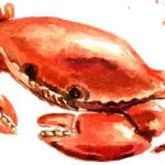 Watercolor illustration of a red-orange crab with raised claws