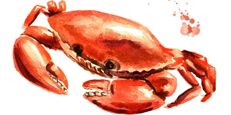 Watercolor illustration of a red-orange crab with raised claws