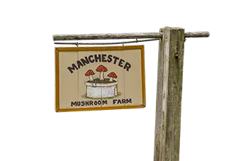 Sign reading 'Manchester Mushroom Farm' with illustrated mushrooms mounted on a weathered wooden post post