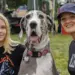 Girl in a Metallica shirt poses with a large Great Dane and a smiling woman at an outdoor festival in a park.