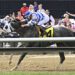 Nik-Pimlico-westminster-feature - Carroll News | Carroll Publications | Carroll County, MD