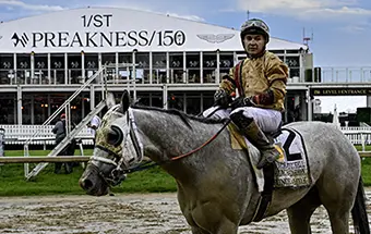 Nik-horse-preakness-2025 - Carroll News | Carroll Publications | Carroll County, MD